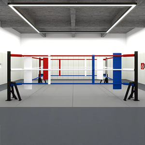 Fabriqué en Chine Petit ring de boxe Kickboxing Match de boxe pour l'entraînement quotidien à l'intérieur et à l'extérieur - Product Image 2
