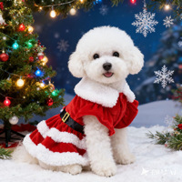 Robe de Noël 2026 la plus vendue pour animaux de compagnie en polyester, décorée de flocons de neige, à manches à volants, collection automne-hiver, style Père Noël