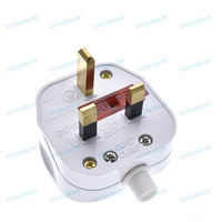 Prise de courant mâle 3 broches UK 250V 13A AC blanche CE avec protection contre les surcharges pour cordon de connexion à fusibles