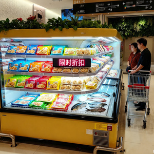 Réfrigérateur à température unique R290 pour supermarché, pour la présentation d'aliments surgelés et de glaces - Product Image 2