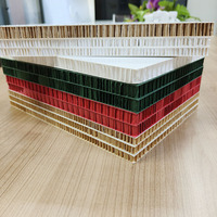 Hochfeste Beschichtete Doppelseitige Papier-Wabenplatte für UV-Druck und Kreative Einzelhandelsdisplays