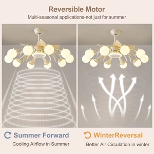 <span class=keywords><strong>Ventilateur</strong></span> de plafond <span class=keywords><strong>lustre</strong></span> blanc avec lumières 31 "<span class=keywords><strong>ventilateur</strong></span> de plafond <span class=keywords><strong>lustre</strong></span> avec classe <span class=keywords><strong>Globe</strong></span> 18 lumières <span class=keywords><strong>pour</strong></span> salon salle à manger télécommande - Product Image 3