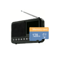 Carte SD haute endurance 32G 64G 128GB Carte mémoire haute vitesse 4K Mini carte flash TF pour moniteur/vidéo/radio/tablette avec adaptateur