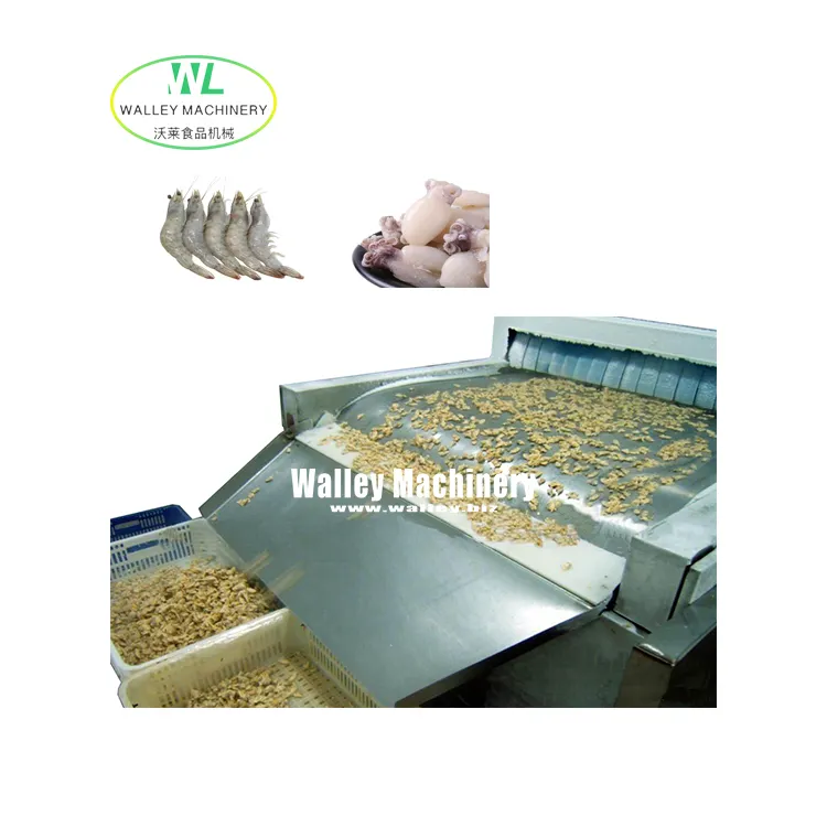 Factory Supply Price Stainless Steel Made SSD Plate Belt Tunnel Freezer Suit For Freezing Fish Fillet Scallop Cuttlefish Shrimp