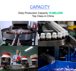 Suplemento de Garcinia Cambogia de Marca Privada Fornecido pela Fábrica OEM, Suplementos Herbais para Apoio à Perda de Peso - Product Image 4