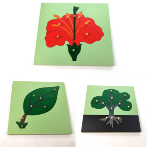 Juguete educativo Montessori de madera de haya para niños, rompecabezas de árbol para el aprendizaje escolar, Holz Puzel Baum, juguetes Montessori - Product Image 3