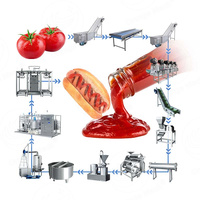 Tomatenpureemachine complete productielijn voor tomatenpuree, -pulp, -sap, -saus, -ketchup en -jam.