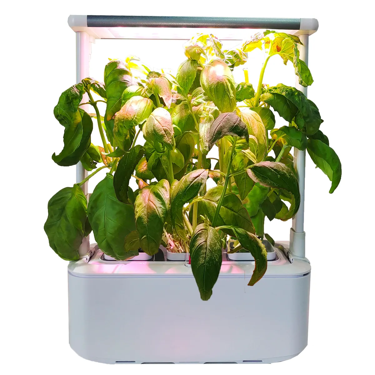 Lampe de culture LED d'intérieur, 1000 w, système hydroponique, planteur de jardin à maison intelligente