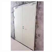 Portes en acier ignifuges avec barre anti-panique pour sortie de secours