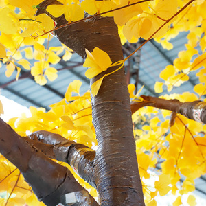 Árbol <span class=keywords><strong>de</strong></span> <span class=keywords><strong>Navidad</strong></span> <span class=keywords><strong>artificial</strong></span> <span class=keywords><strong>de</strong></span> Ginkgo, decoración festiva interior/exterior, Año Nuevo, Día <span class=keywords><strong>de</strong></span> San Valentín, Pascua, decoraciones grandes <span class=keywords><strong>de</strong></span> seda <span class=keywords><strong>de</strong></span> plástico - Product Image 4
