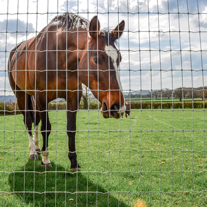 2025 nouveau produit Structure innovante de haute qualité clôture en treillis métallique en acier à faible teneur en carbone pour l'élevage de bovins de pâturages de chevaux - Product Image 6