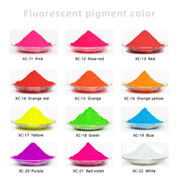 Poudre néon fluorescente à base de solvant, 12 couleurs, pour résine