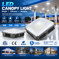 Plafonnier LED étanche IP65 50W-120W 130lm/W 100-277V avec boîtier en aluminium moulé sous pression pour station-service et parking