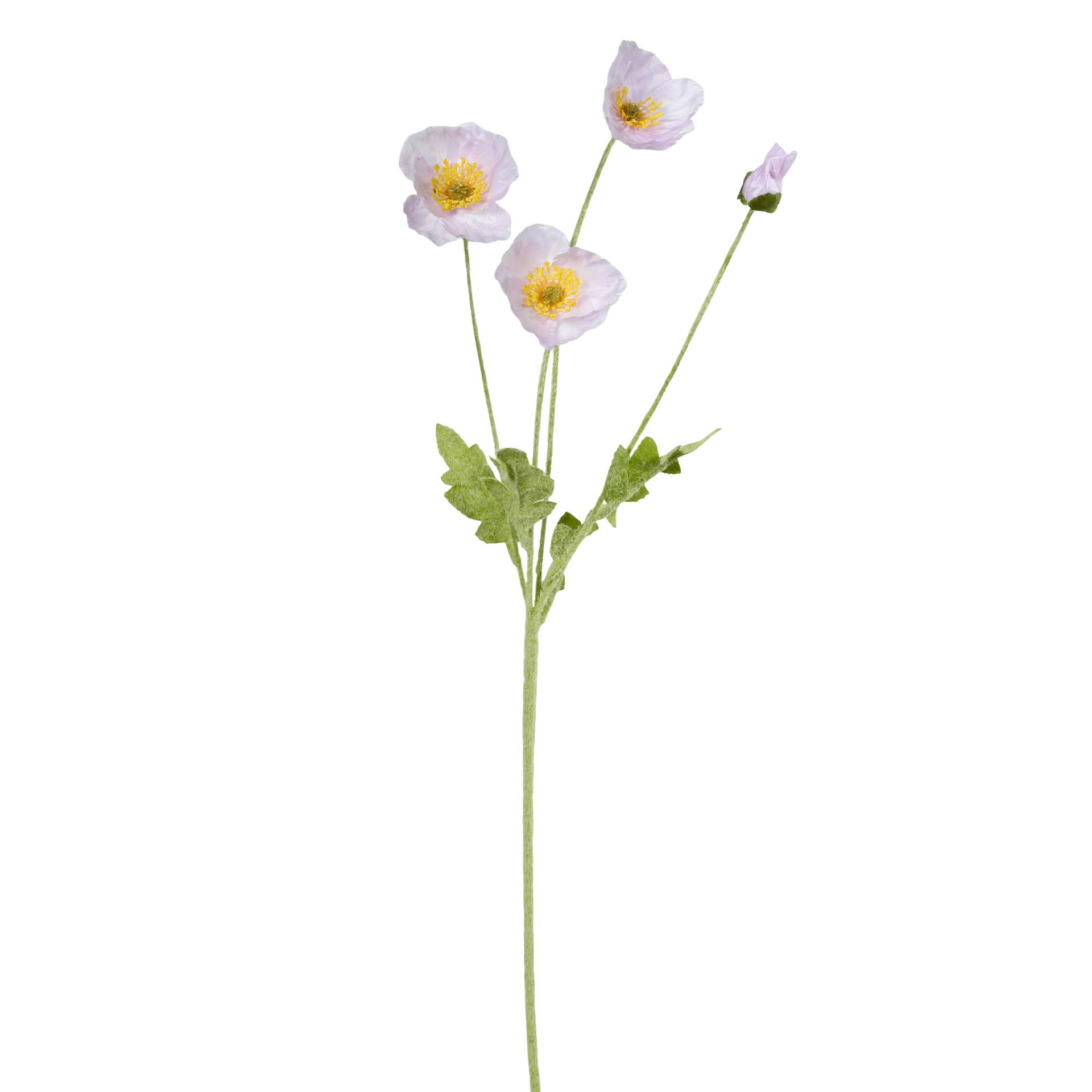 ช่อลาเวนเดอร์