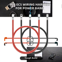 Câble d'alimentation 10AWG avec connecteur femelle EC5 pour batteries externes, conducteur en cuivre, isolation en PVC