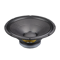 Haut-parleur professionnel de 15 pouces, unité de haut-parleur avec cadre en fer, bobine vocale de 75 mm, 8 ohms, 250 W RMS, 500 W de puissance de crête, pour applications scéniques, utilisation passive