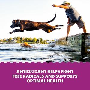 Suplemento de aceite de krill antioxidante líquido para perros y gatos fortalece la barrera de la piel reduce las reacciones alérgicas como la picazón de la caspa - Product Image 5