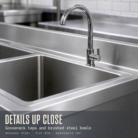 Évier de cuisine professionnel en acier inoxydable QH 201 de 0,8 mm d'épaisseur, finition résistante à la corrosion, capacité de charge de 300 kg/m, vente en gros