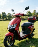 Moto électrique 10 pouces 1000W 48V/72V sans balais, vitesse maximale 40-60km/h, garantie 1 an, vente chaude, directement de l'usine, pour adultes, OEM/ODM