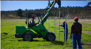Serres Sainpoly Polytunnels, abri contre la pluie, pour la plantation de bleuets en Australie, serres agricoles - Product Image 5