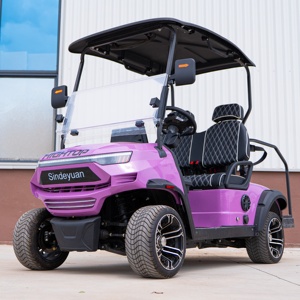 Voiturette de golf électrique 2 places avec suspension MacPherson et essieu arrière flottant pour chemins agricoles accidentés et sentiers, service OEM ODM personnalisé - Product Image 2