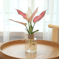 Meixuan, pot de fleurs moderne, simple et créatif, en plastique PP, écologique, chromé, transparent, roses vertes, petit pot hydroponique