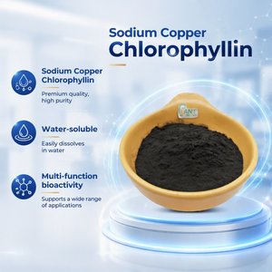 Poudre de Chlorophylline Naturelle Sodium-Cuivre <span class=keywords><strong>E141</strong></span> Qualité Alimentaire, Poudre de Chlorophylle, Extrait d'Alfalfa, Gouttes Liquides de Chlorophylle, Poudre Brute - Product Image 1