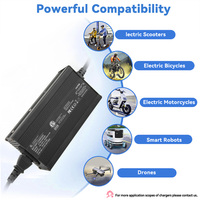 Chargeur de tondeuse à gazon électrique à commande intelligente intégrée MCU XT30 240W, batterie lithium 10A 24V, PFC intégré, LED, EU