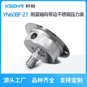 เกจวัดแรงดันสแตนเลส Suzhou Xuansheng YNBF60ZT ขนาด 60 มม. แบบติดตั้งบนแผง ทนทานต่อการสั่นสะเทือนตามแนวแกน พร้อมการเชื่อมต่อแบบเกลียว - Product Image 5