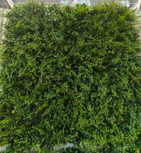 Conception personnalisée <span class=keywords><strong>en</strong></span> plastique Choisissez l'herbe et la fleur Panneau mural <span class=keywords><strong>en</strong></span> fausse plante sur mesure Enrouler le mur de fleurs - Product Image 1