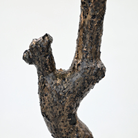 Arbre artificiel en érable luxuriant, Vitex Negundo (Chastetree) pour salon, hôtel, restaurant, centre commercial, événements, décoration du Nouvel An et du printemps