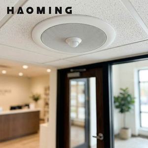 HAOMING Haut-parleur MP3 à détection de mouvement PIR pour plafond avec télécommande pour annonces intérieures - Product Image 6