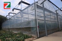 Système de construction de serres en film multi-chapelles à grande échelle