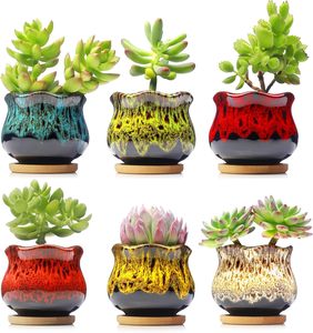 Jolies jardinières en céramique pour plantes succulentes, couleurs vives craquelées, pots de jardin avec drainage et soucoupe intégrée - Product Image 6