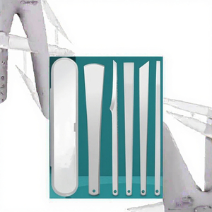 Stainless Steel Pedicure Kit 5 Piece Foot Care Tools With <b>Case</b> Portable For Adult DIY Use - Product Image 3