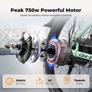 Vélo électrique 24 pouces avec moteur sans balais 750W, batterie 48V 7.8AH, vitesse maximale de 20 MPH, frein à disque double, entrepôt local aux États-Unis, livraison gratuite - Product Image 5