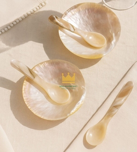 Cuillère à caviar moderne et écologique en nacre, cuillère en coquille, faite à la main, 100% matériau naturel pour les fêtes et les cadeaux, prix - Product Image 1