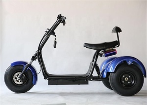 Mới Đến Tốc Độ Cao 3 Bánh Xe Dành Cho Người Lớn Điện Golf Scooter Citycoco 2000W Với Pdals Điện Ba Bánh - Product Image 5