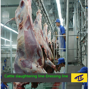 Ligne de production d'abattoirs de vaches <span class=keywords><strong>halal</strong></span> abattoir haute efficacité pour équipement de <span class=keywords><strong>boucherie</strong></span> - Product Image 5