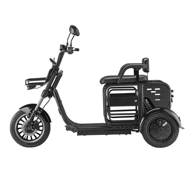 New Design Scooter Dog Cat Motorcycle 1000w 48v Family Multi-mode 3 Wheel Electric Tricycle