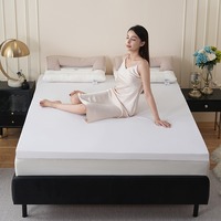 Nouveau matelas en silicone lavable Cloud-Feel 2026 pour adultes