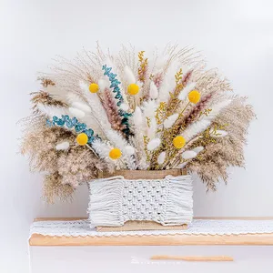 Bouquet Naturale di Fiori Secchi Soffici, Erba della Pampa Decorativa per Vasi, Erba <span class=keywords><strong>Pampas</strong></span> Essiccata all'Ingrosso - Product Image 4