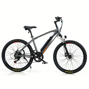 Bicicleta Eléctrica con Neumáticos Anchos, Tres Modos de Conducción, para Caminos Suburbanos y Todoterreno, Venta Especial OEM ODM - Product Image 1