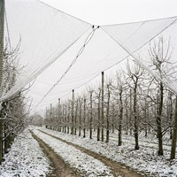 Filet pare-grêle et pare-soleil en HDPE pour l'agriculture, protection contre la grêle, les oiseaux et le vent
