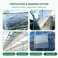 Serres Agricoles Professionnelles et Serres Commerciales Intelligentes pour Fermes, Serres de Pépinière, Usine Chinoise Exportatrice de Tunnels Polytunnel