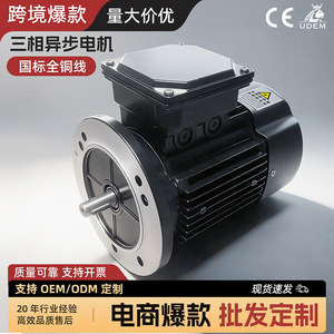 มอเตอร์แบบอะซิงโครนัสสามเฟส 250W 380V อุปกรณ์เครื่องกลประสิทธิภาพสูงสำหรับอุตสาหกรรม - Product Image 5
