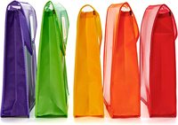 Carpeta de archivos de plástico transparente para niños y estudiantes, colorida, resistente al agua, transparente, expandible