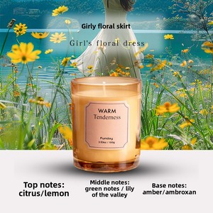 Nouvelle bougie parfumée en cire végétale écologique de niche haut de gamme à six couleurs, 12 parfums, cadeau d'aromathérapie 2026 - Product Image 6