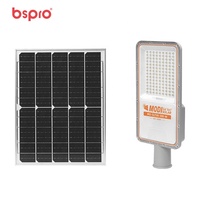 Nuevo Panel Solar Monocristalino de 600W, Lámpara Solar LED de Aluminio para Exteriores, Programa de Ingeniería para Alumbrado Público