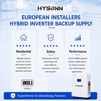 Batterie de stockage solaire murale Hysonn 11,77 kWh 51,2 V 230 Ah LiFePO4 pour installateurs européens, alimentation de secours pour onduleur hybride
